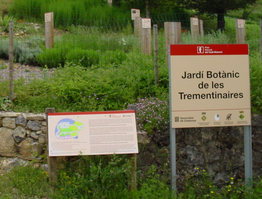 Jardi de Les Trementinaires